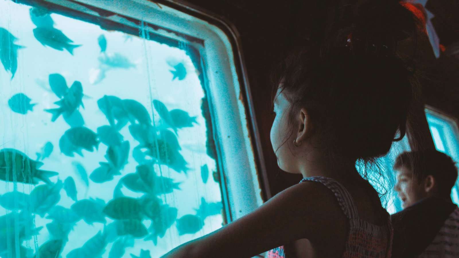 Niña mirando peces a través del cristal de un acuario